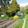 De kippenfarm van Henk Baarda op G